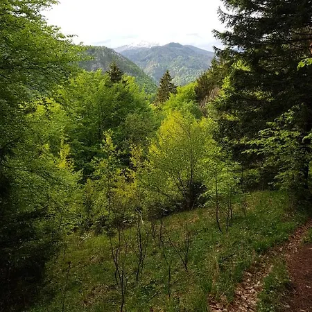 Appartement Polane Blejska Dobrava