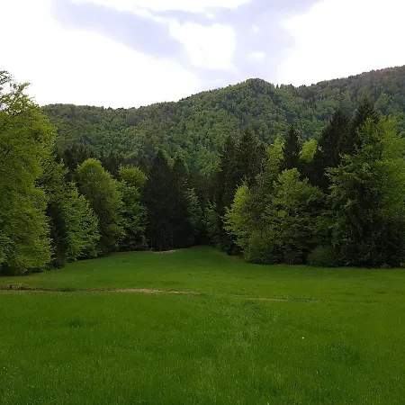 Polane