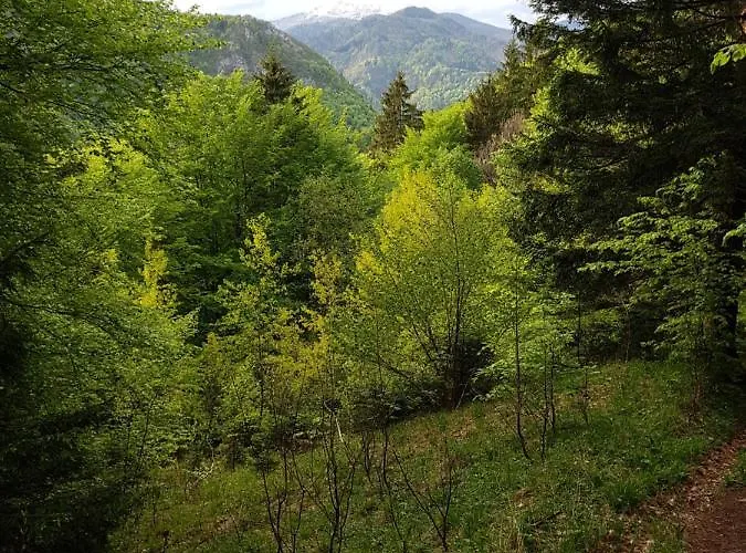 شقة Polane Blejska Dobrava